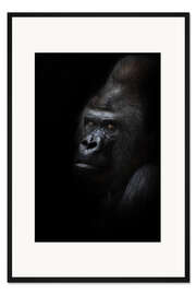 Gerahmter Kunstdruck Mächtiger männlicher Gorilla
