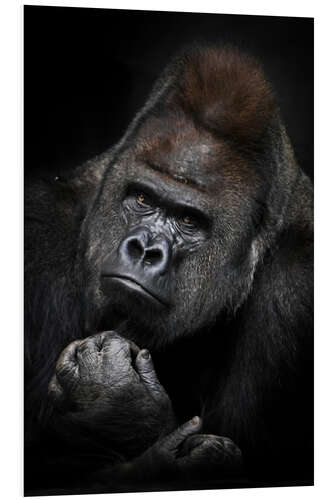 Tableau en PVC Pensive Gorilla