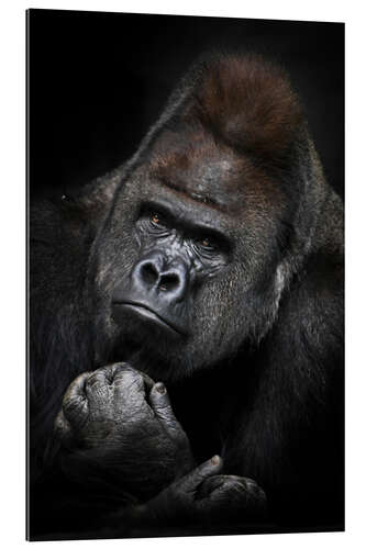 Galleriataulu Pensive Gorilla