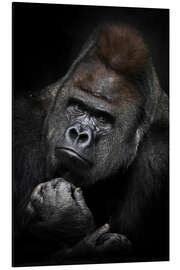 Magnettafel Nachdenklicher Gorilla