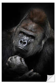 Selvklebende plakat Pensive Gorilla