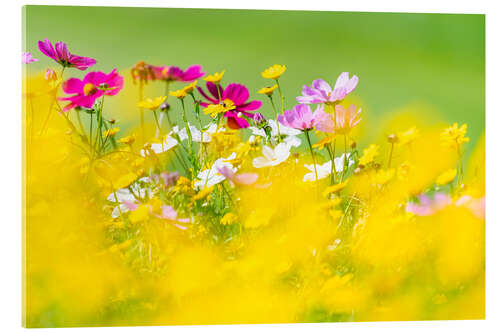 Akryylilasitaulu Wildflower meadow with decorative baskets