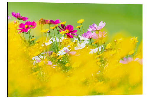 Tableau en aluminium Wildflower meadow with decorative baskets