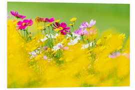 Foam board print Wildflower meadow with decorative baskets