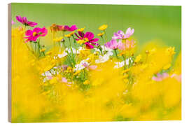 Cuadro de madera Wildflower meadow with decorative baskets