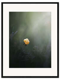 Framed art print Cloudberry