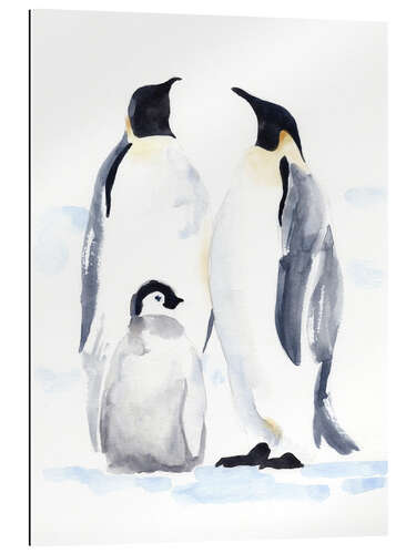 Gallery print Emperor Penguins II