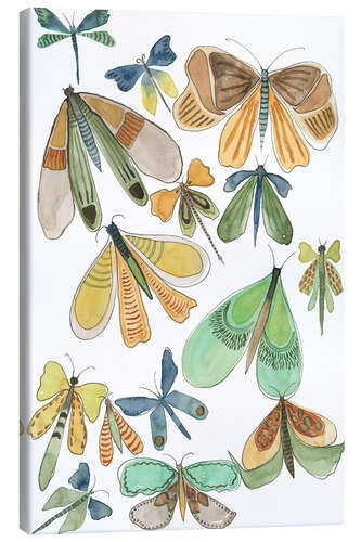 Tableau sur toile Wings Galore II