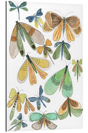 Magnettafel Flügel in Hülle und Fülle II