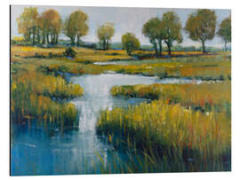 Quadro em alumínio Swamp landscape III