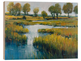 Quadro de madeira Swamp landscape III