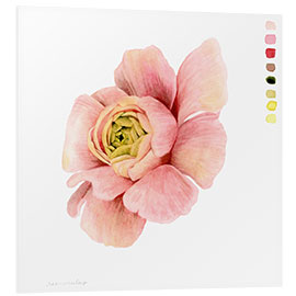 Foam board print Ranunculus Study II