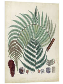 PVC-tavla Collected Ferns II