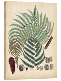 Stampa su legno Collected Ferns II