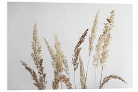 Foam board print Golden pampas grasses