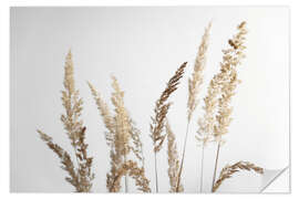 Wall sticker Golden pampas grasses