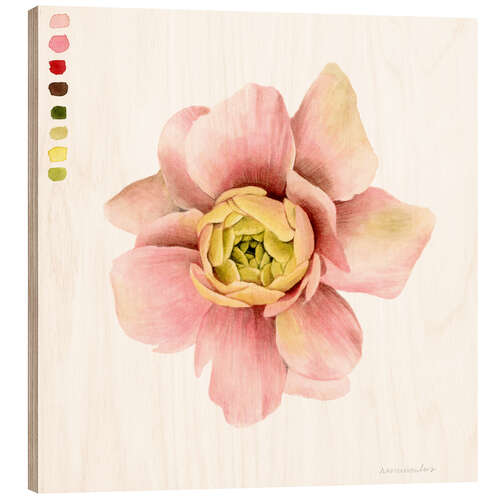 Puutaulu Ranunculus Study I.