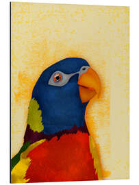 Magnettafel Fröhlicher Papagei