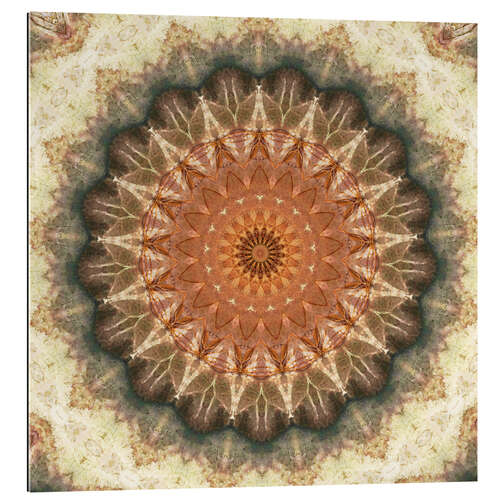 Galleriprint Mandala evening sun