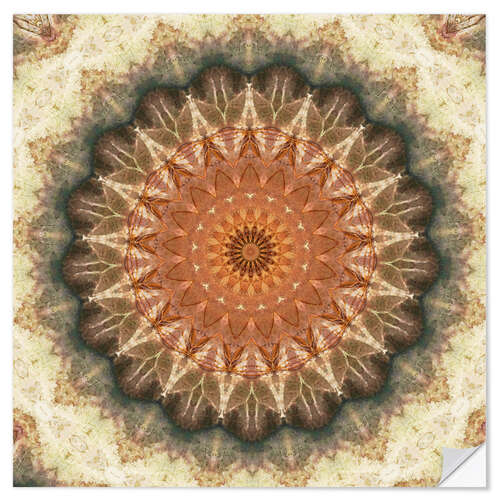 Muursticker Mandala evening sun