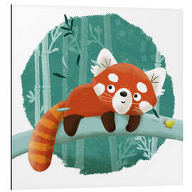 Aluminium print The red panda