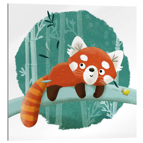 Stampa su plexi-alluminio The red panda