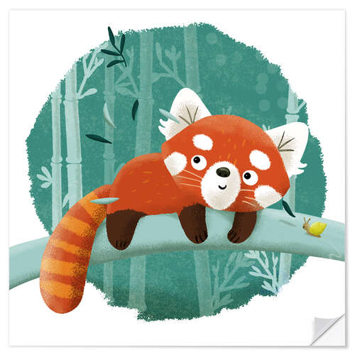 Sticker mural The red panda