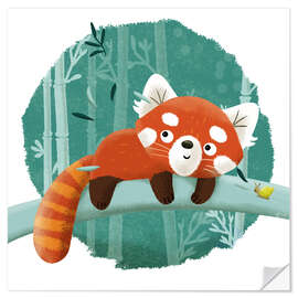 Sticker mural The red panda