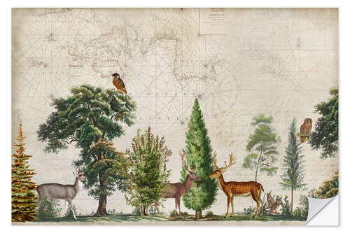 Vinilo para la pared Nordic Woods