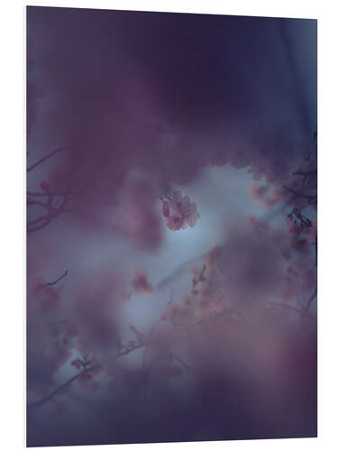 Foam board print Sleeping ornamental cherry