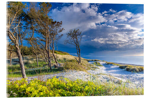 Acrylic print On the west beach on the Darß