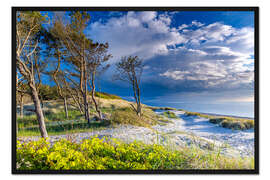 Gerahmter Kunstdruck Am Weststrand auf dem Darß