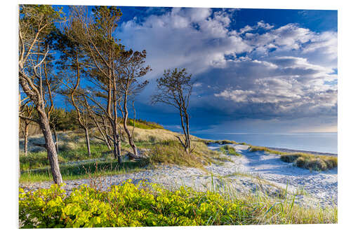 Hartschaumbild Am Weststrand auf dem Darß