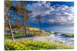 Gallery print On the west beach on the Darß