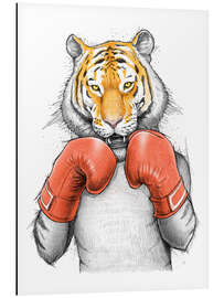 Aluminium print Tiger Boxer