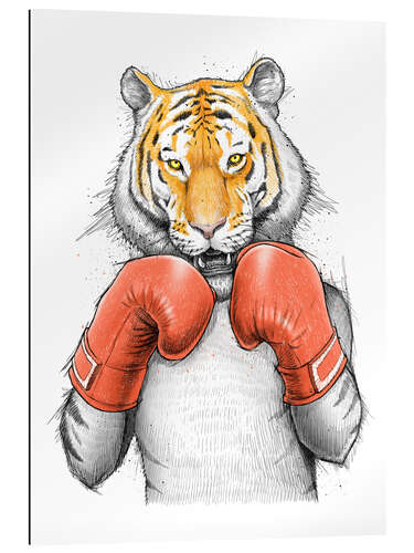 Gallery print Tiger Boxer