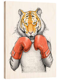 Trebilde Tiger Boxer