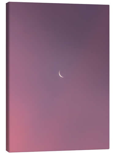 Canvas print Moon dreams