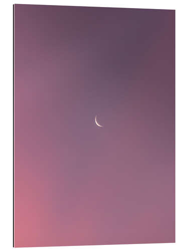 Tableau en plexi-alu Moon dreams