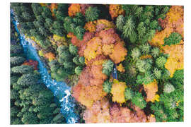 Foam board print Autumn trees from Valmasino, Val Masino