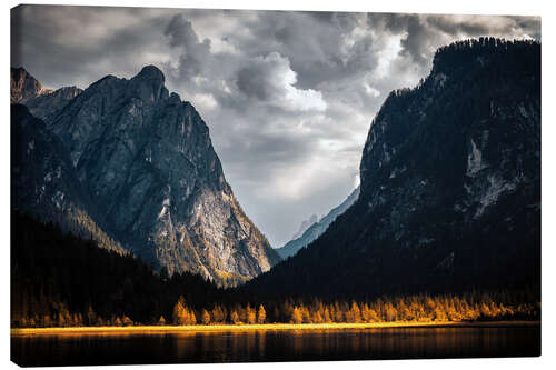 Canvas print Bright spot