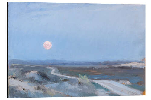 Tableau en aluminium Landscape from Stenbjerg with Moon