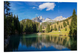 Magnettafel Almsee mit Großer Bischofsmütze