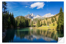 Muursticker Almsee with a large Bischofsmütze