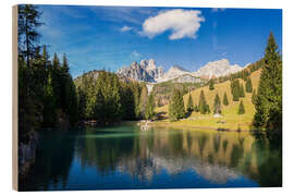 Tableau en bois Almsee with a large Bischofsmütze