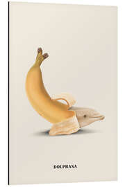 Magnettafel Dolphana