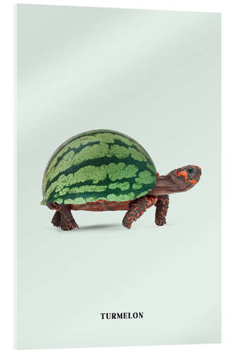 Acrylic print Turmelon