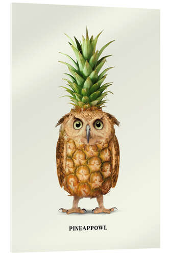 Acrylic print Pineappowl