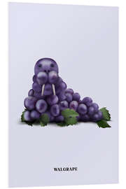 Foam board print Walgrape