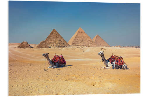 Tableau en plexi-alu Giza